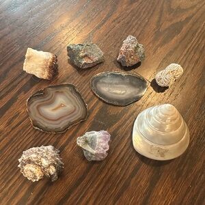 Collection of various rocks, minerals, and shells